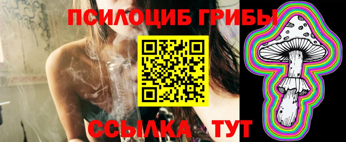 Псилоцибиновые грибы Cubensis  Вход с VPN  Звенигород 