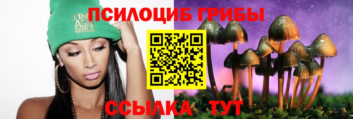 Псилоцибиновые грибы мицелий Звенигород